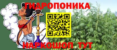 apvp Магадан