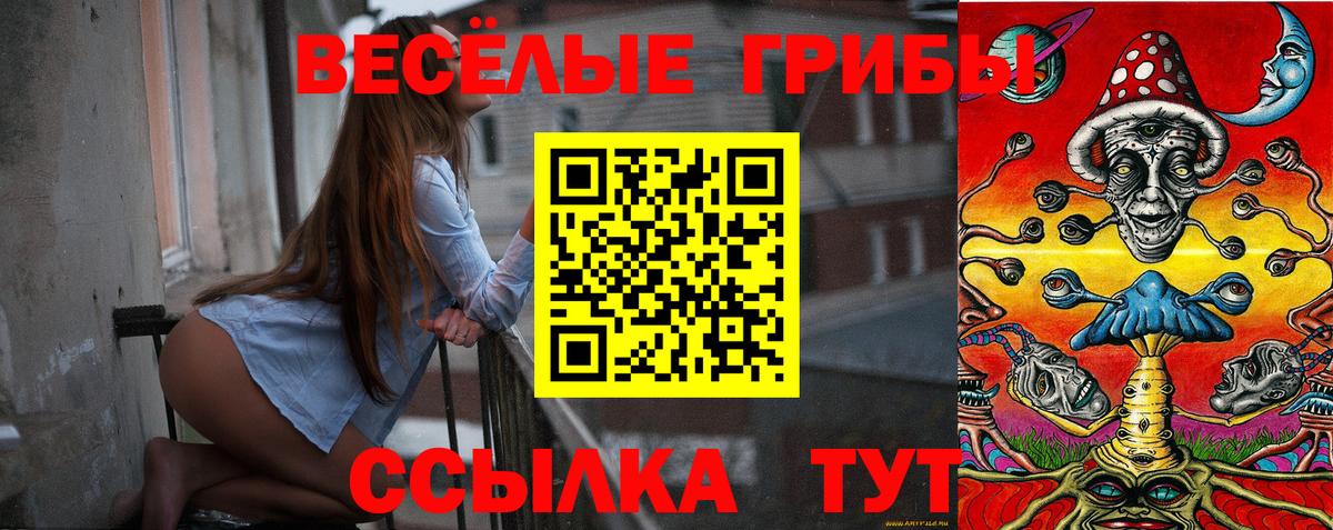 Галлюциногенные грибы Psilocybe Миасс
