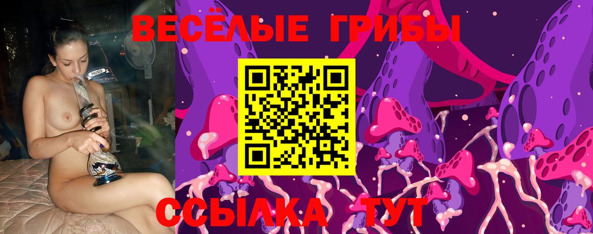 Миасс  Псилоцибиновые грибы мицелий  Вход с VPN 